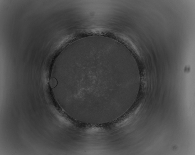 X0000102490593200808081331