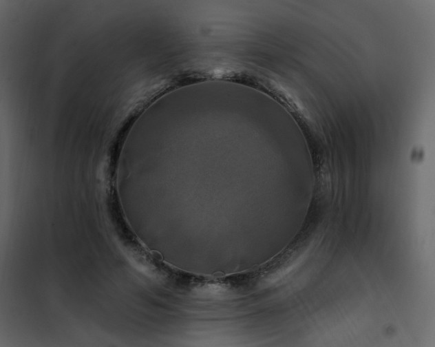 X0000102490594200808081331