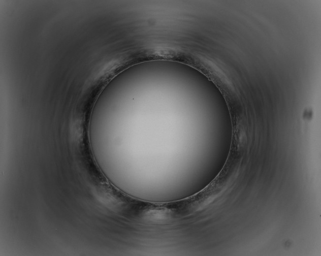 X0000102490595200808081331