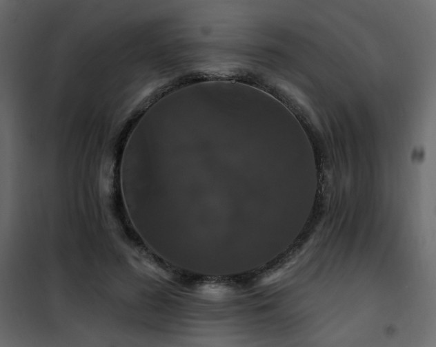 X0000102490596200808081331