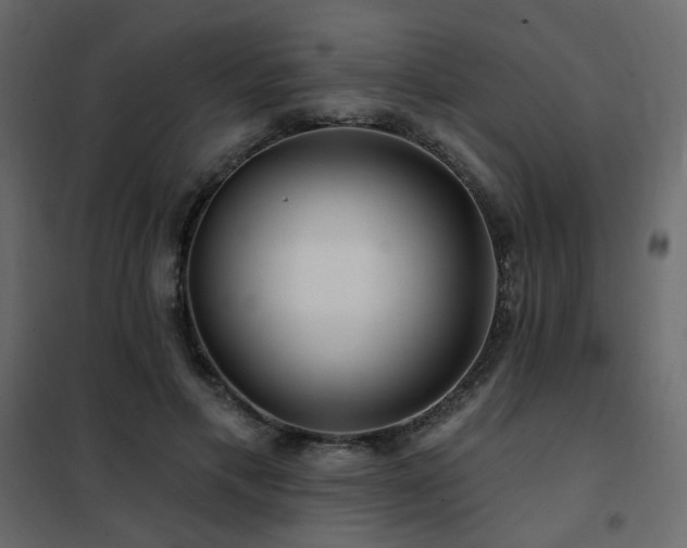 X0000102490597200808081331