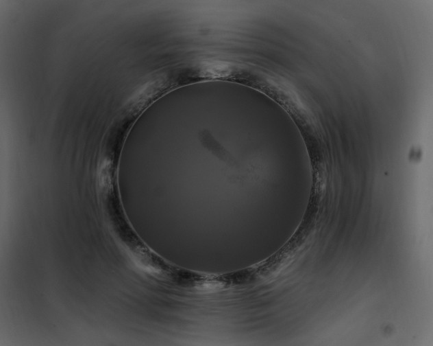 X0000102490598200808081330