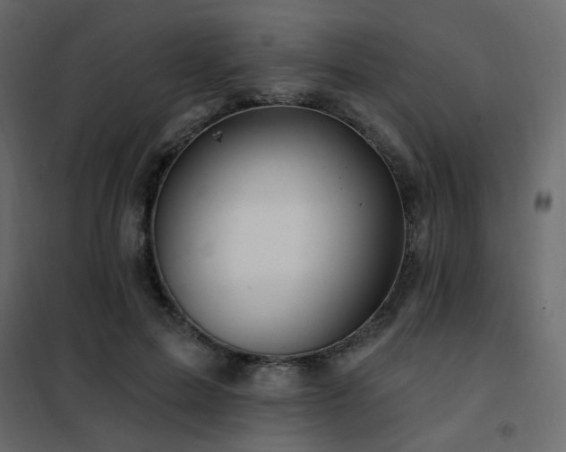 X0000102490599200808081330