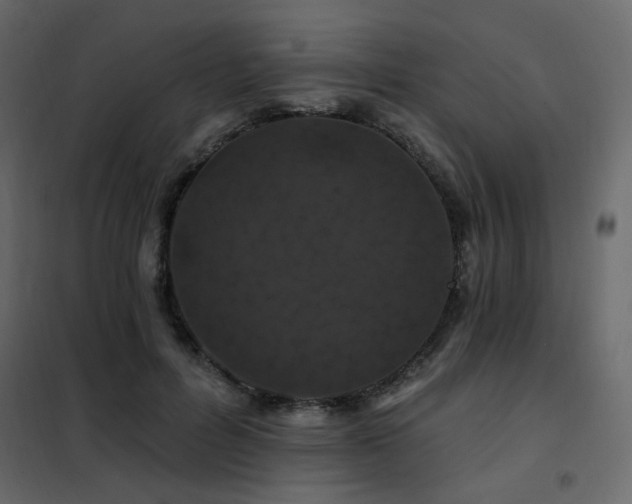 X0000102490600200808081330