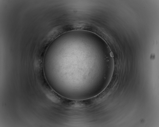 X0000102490601200808081330