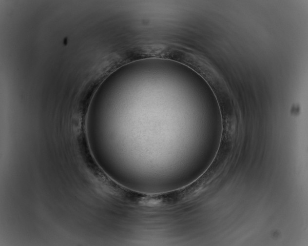 X0000102490602200808081330