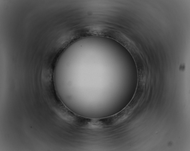X0000102490603200808081330
