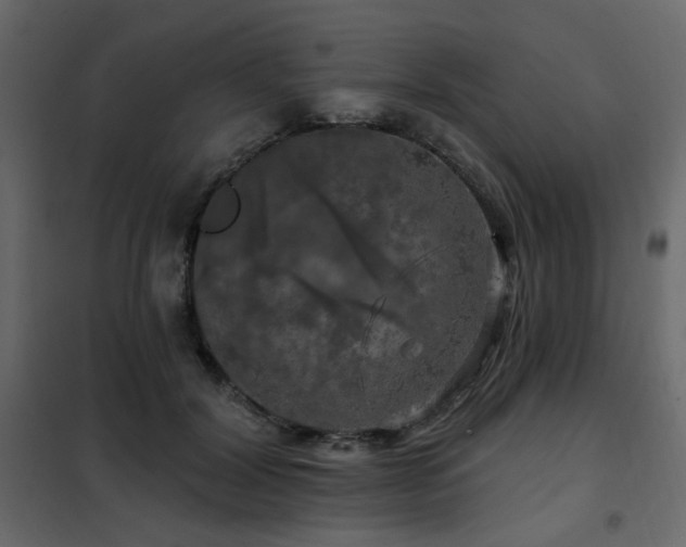 X0000102490604200808081330