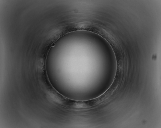 X0000102490605200808081330