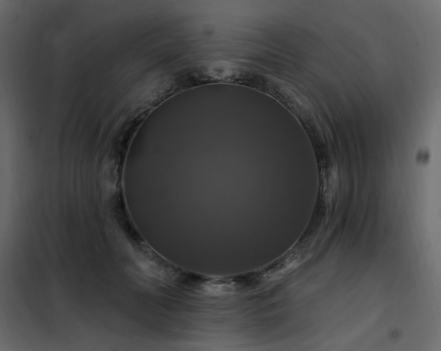 X0000102490606200808081330