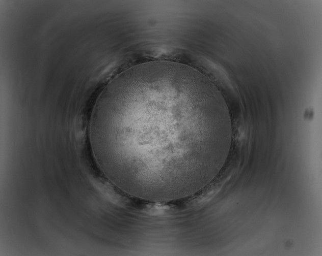 X0000102490607200808081330