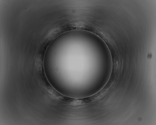 X0000102490609200808081330