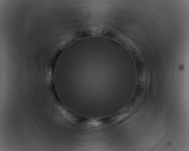 X0000102490610200808081330