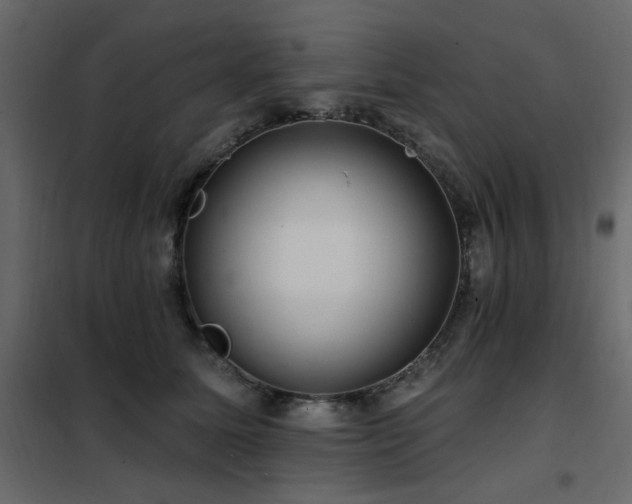 X0000102490611200808081330