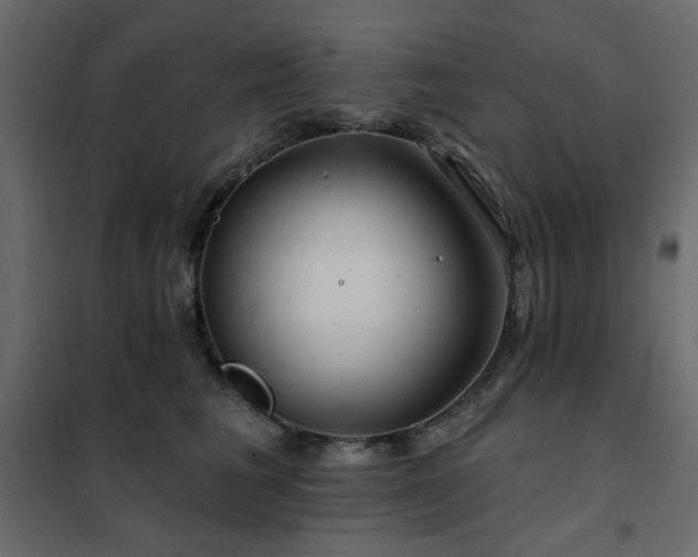 X0000102490613200808081330