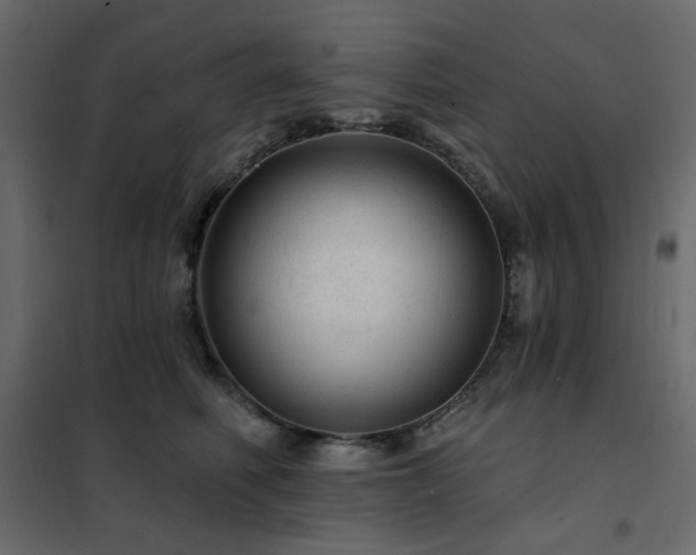 X0000102490614200808081330