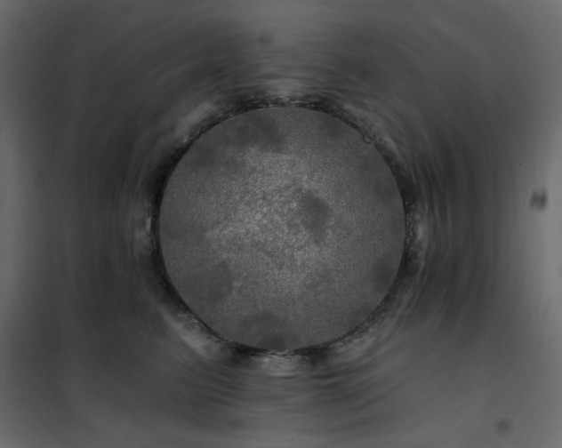 X0000102490615200808081330