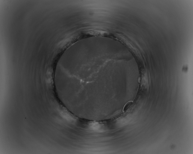 X0000102490616200808081330
