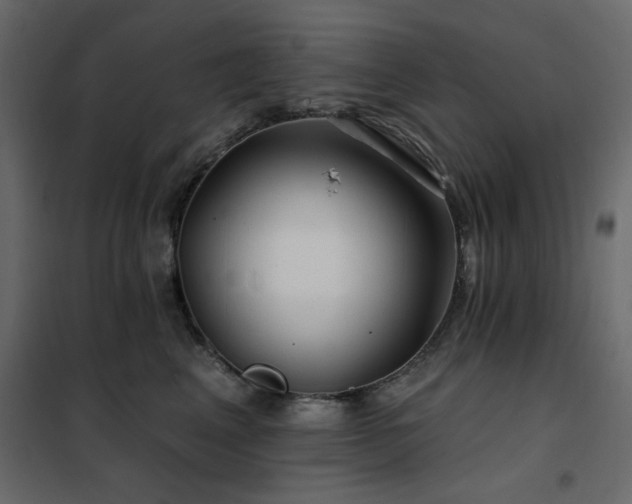 X0000102490617200808081330