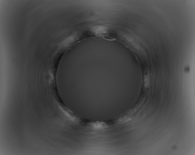 X0000102490618200808081330