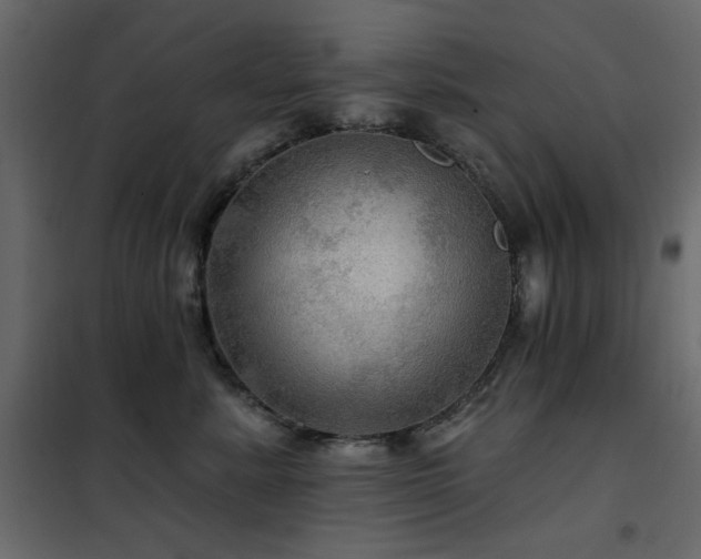 X0000102490619200808081330
