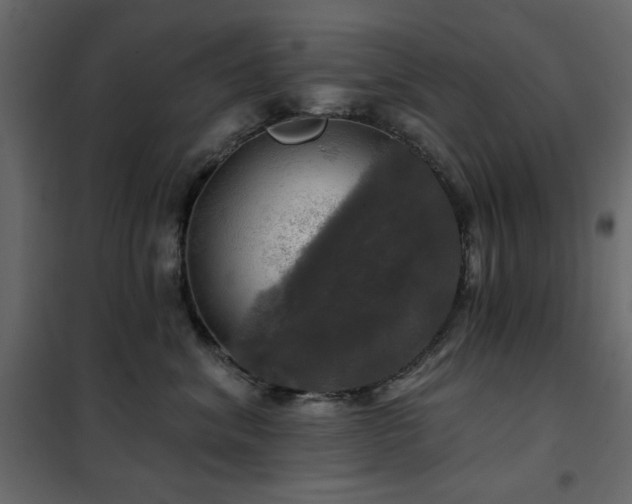 X0000102490620200808081330
