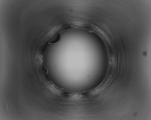 X0000102490621200808081330