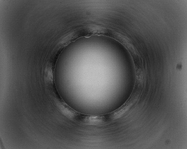 X0000102490622200808081330