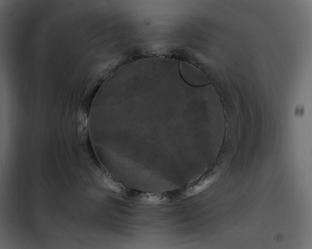 X0000102490624200808081330