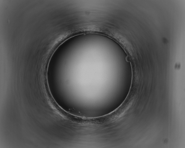 X0000102490625200808081329