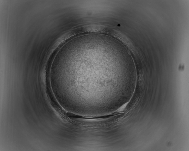 X0000102490626200808081329