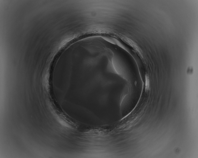 X0000102490627200808081329