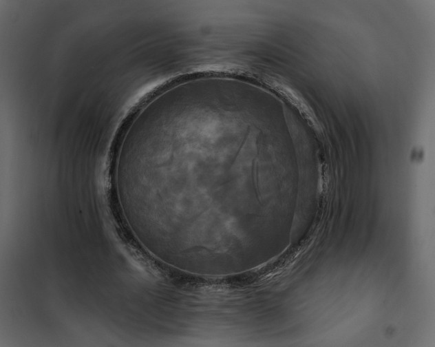 X0000102490628200808081329