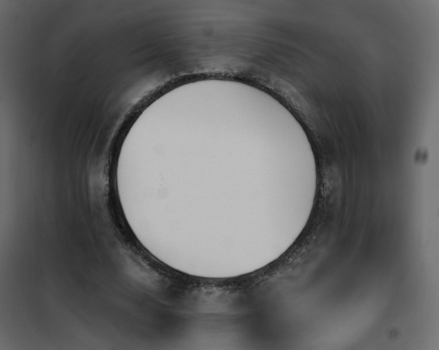 X0000102490632200808081329