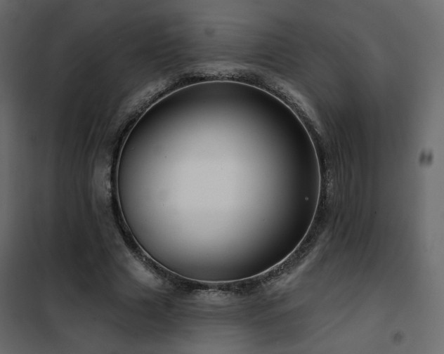 X0000102490633200808081329