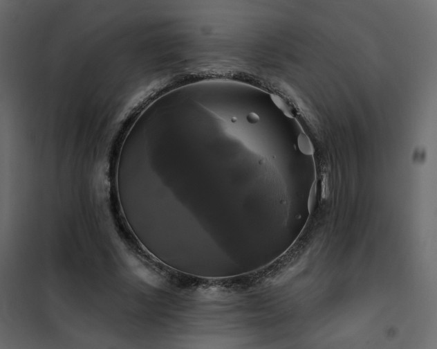X0000102490634200808081329