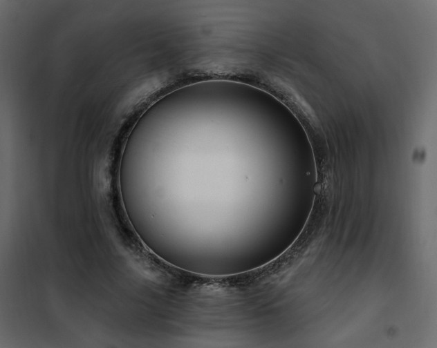 X0000102490635200808081329