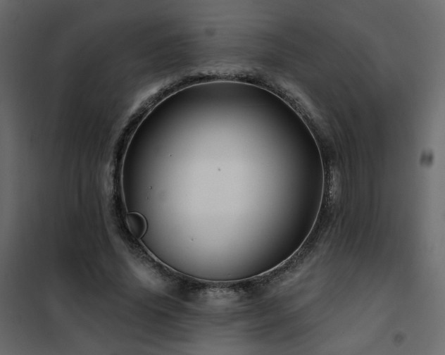 X0000102490636200808081329