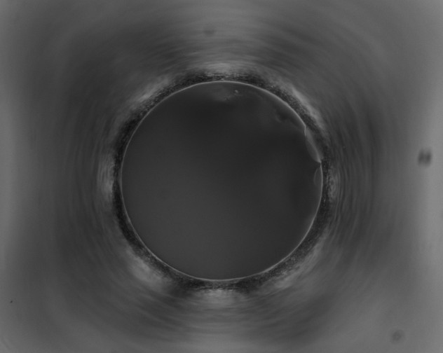 X0000102490637200808081329