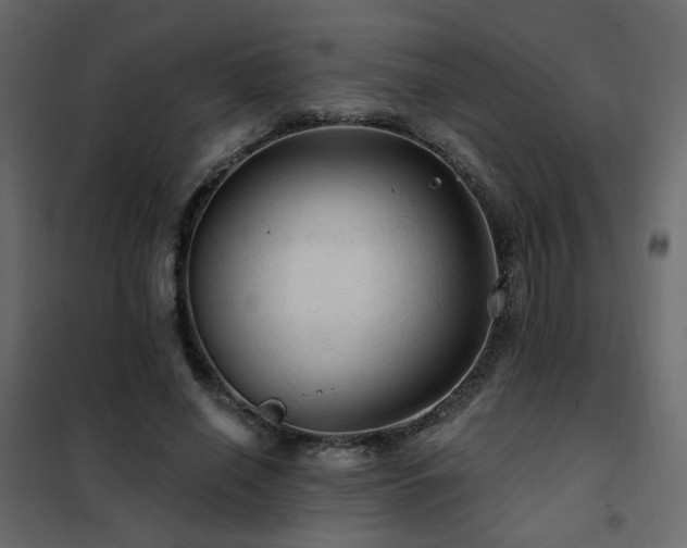 X0000102490638200808081329