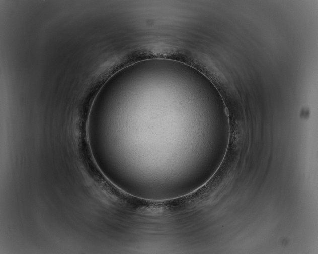 X0000102490639200808081329
