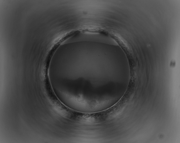 X0000102490640200808081330