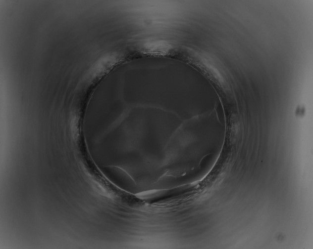 X0000102490641200808081330