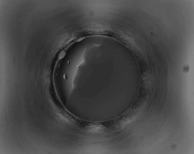 X0000102490642200808081330