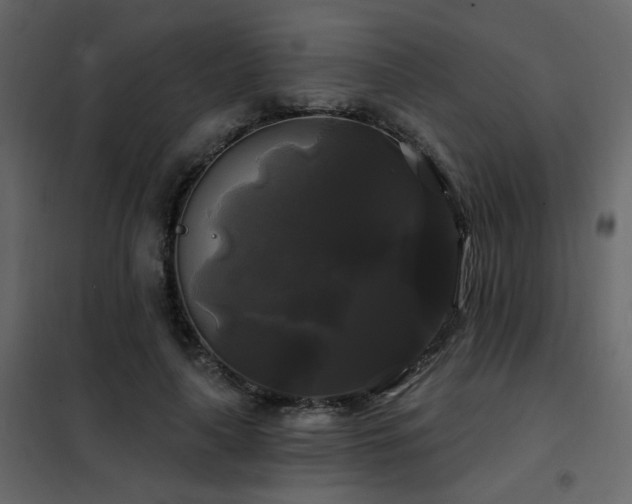 X0000102490643200808081330