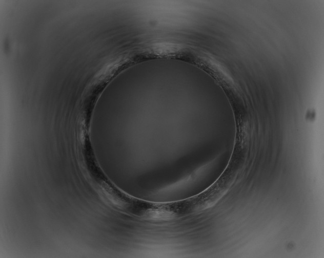 X0000102490644200808081330