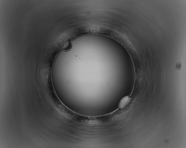 X0000102490645200808081330