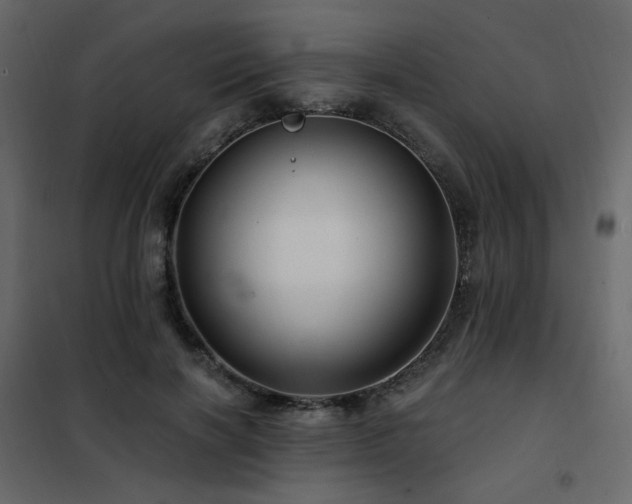 X0000102490646200808081330