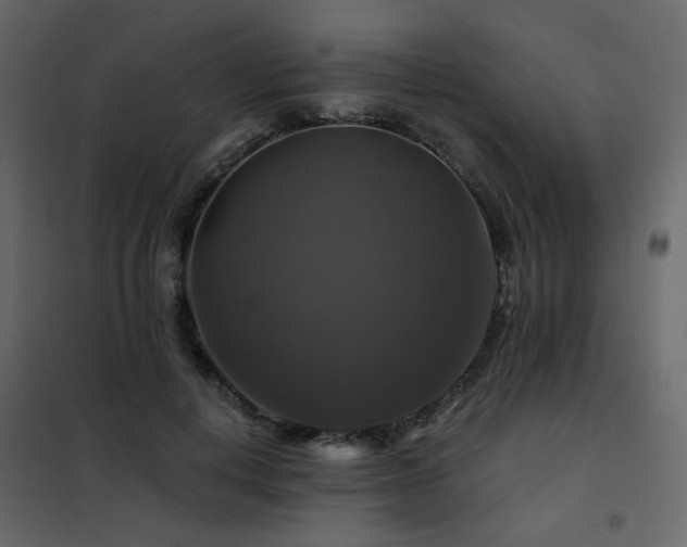 X0000102490648200808081330