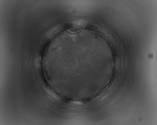 X0000102490649200808081330